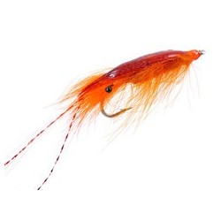 Enrio's Spawning Shrimp Transparent  Saltwater flies, Fly tying, Fly  fishing lures